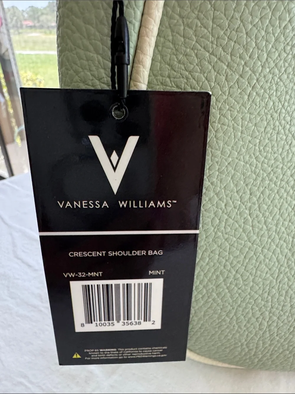Vanessa Williams Mint Green Crescent Hobo Bag