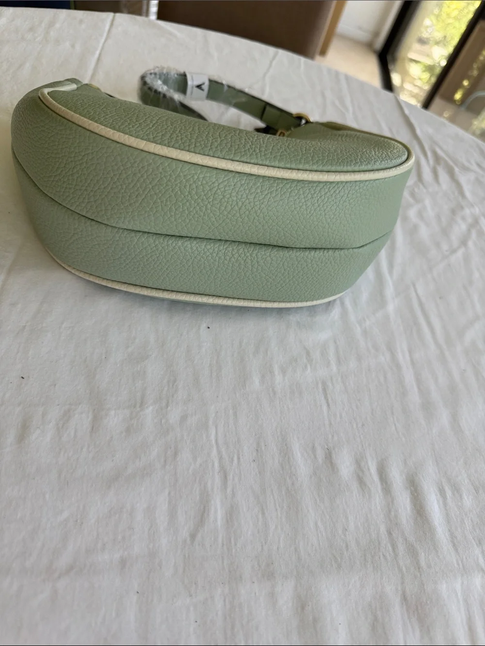 Vanessa Williams Mint Green Crescent Hobo Bag