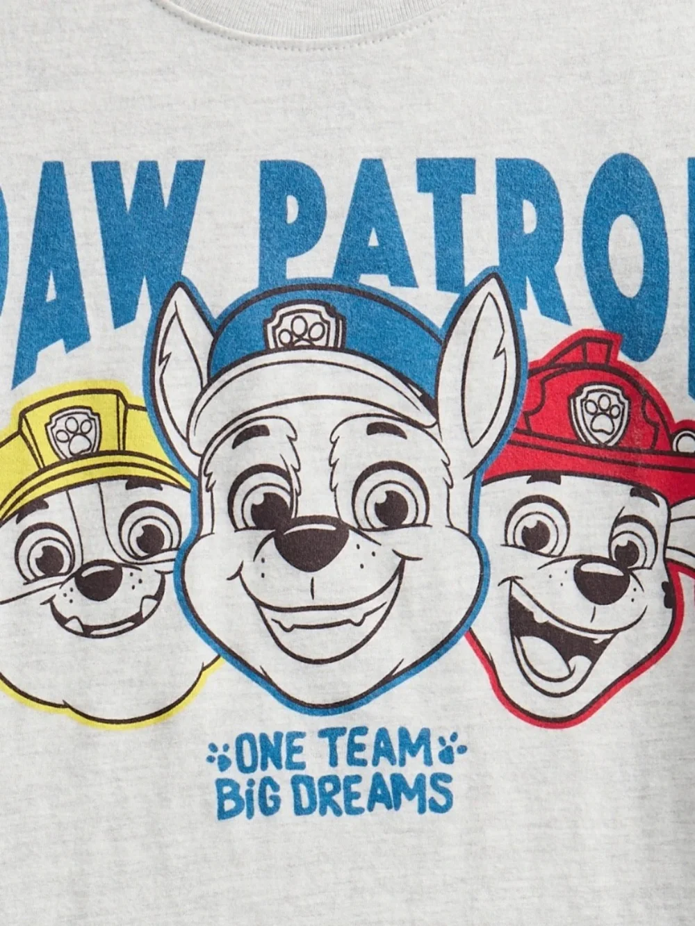 Paw Patrol Unisex Platinum Heather Tee Shirt Size 5T NWT