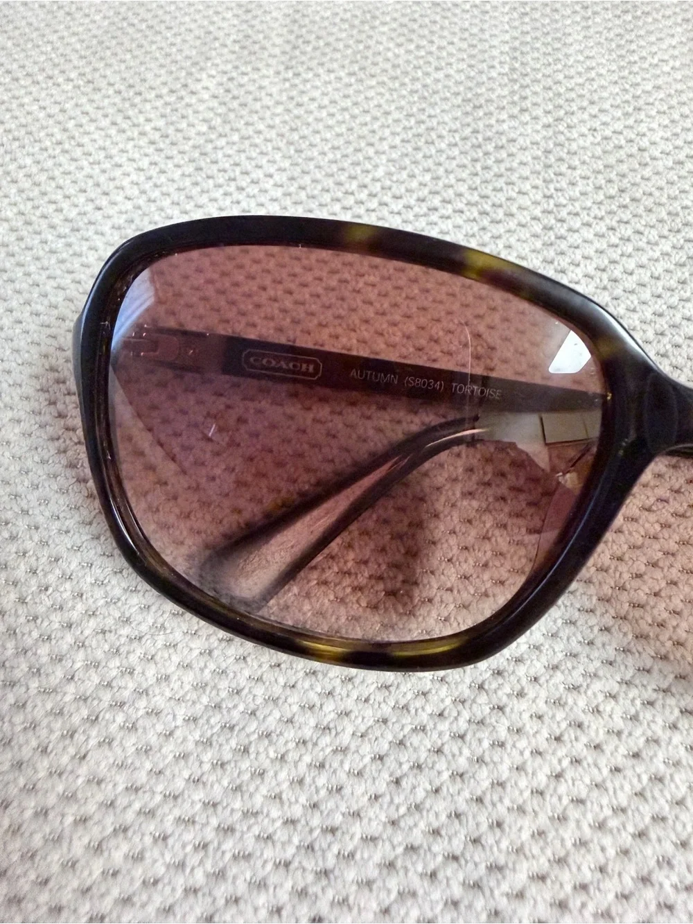 Coach autumn s8034