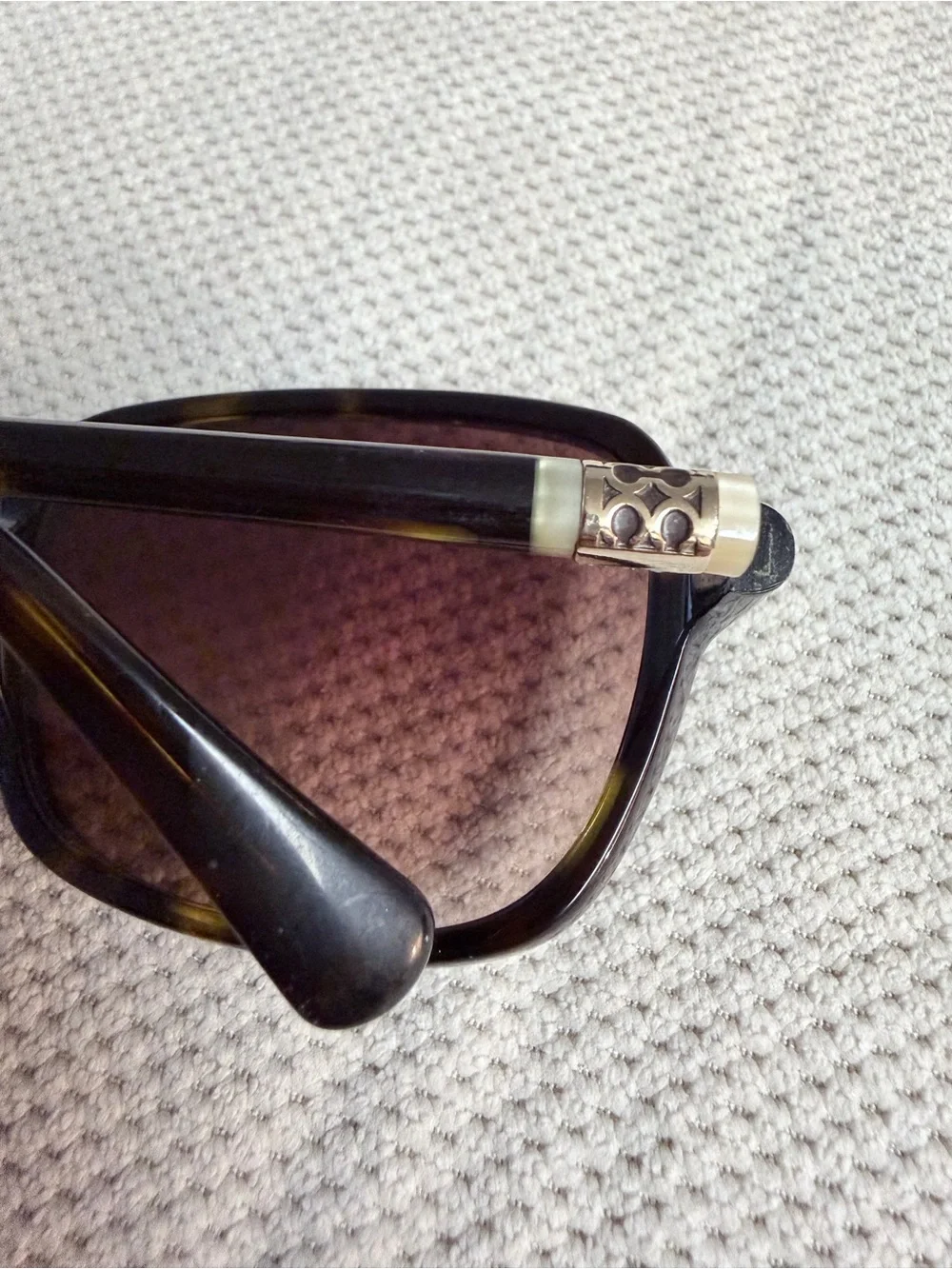 Coach autumn s8034
