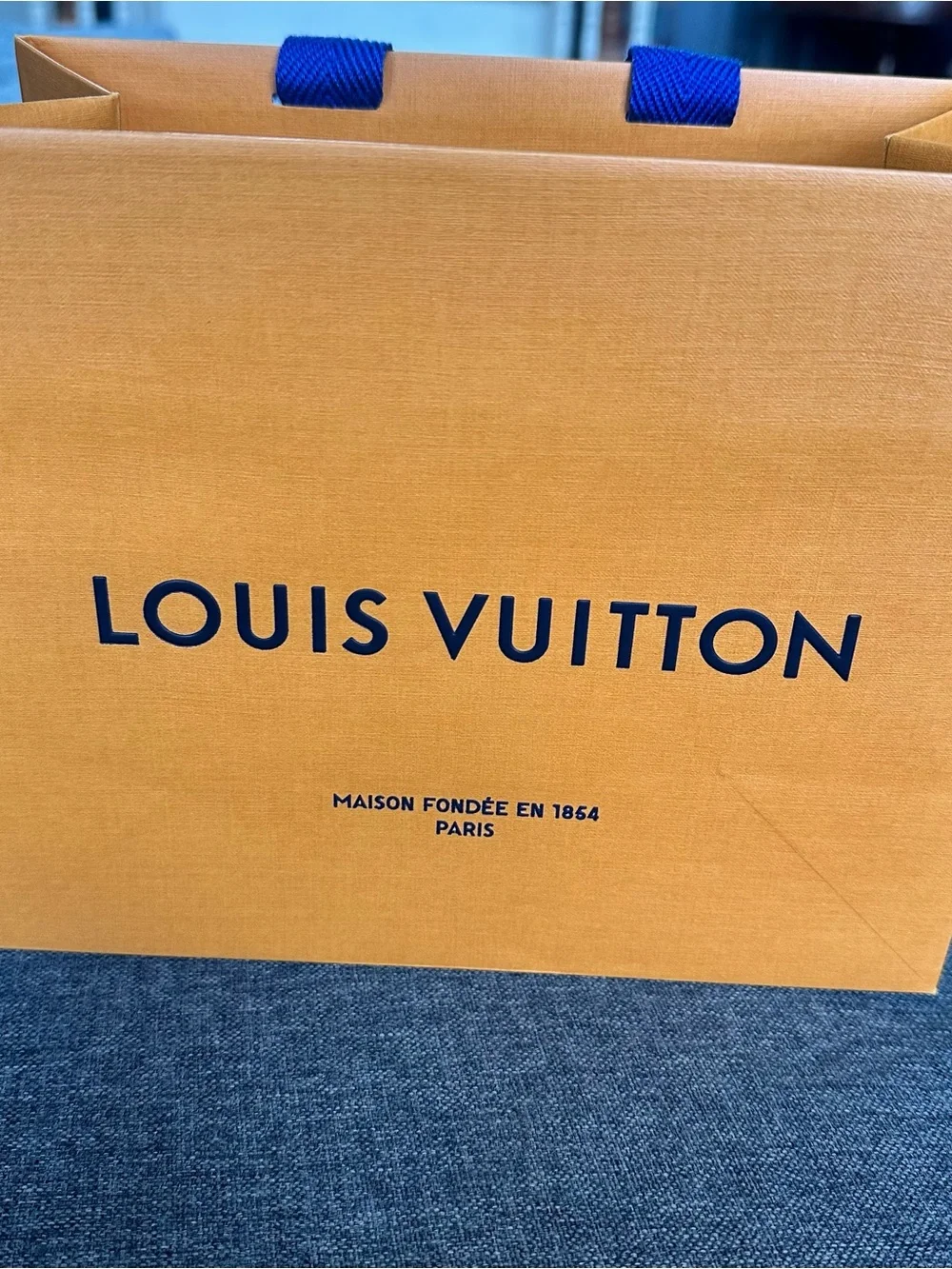 Louis Vuitton luxury louis