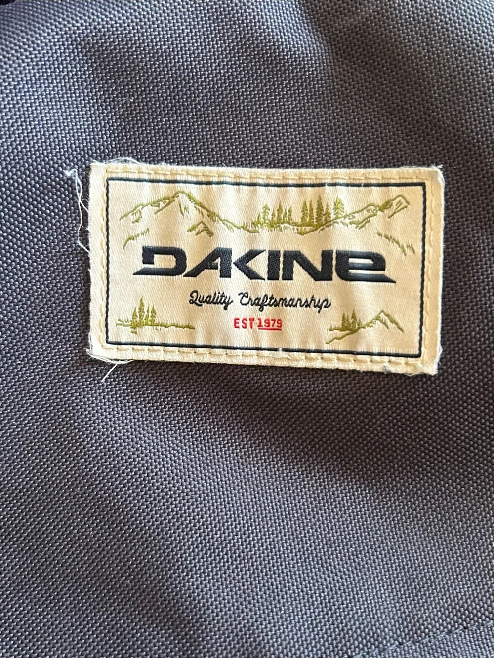Dakine classic backpack