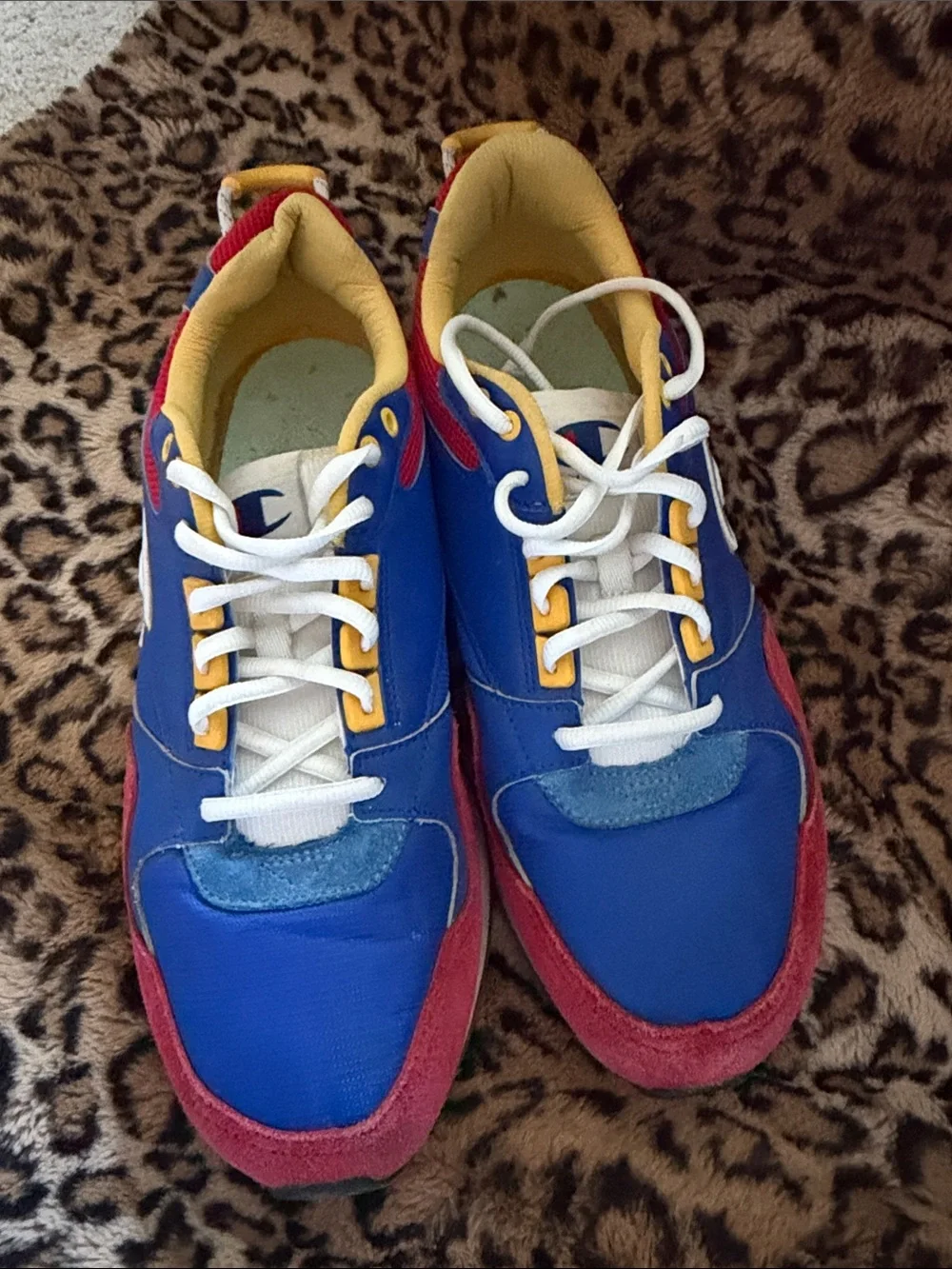 Champion vibrant colorblock