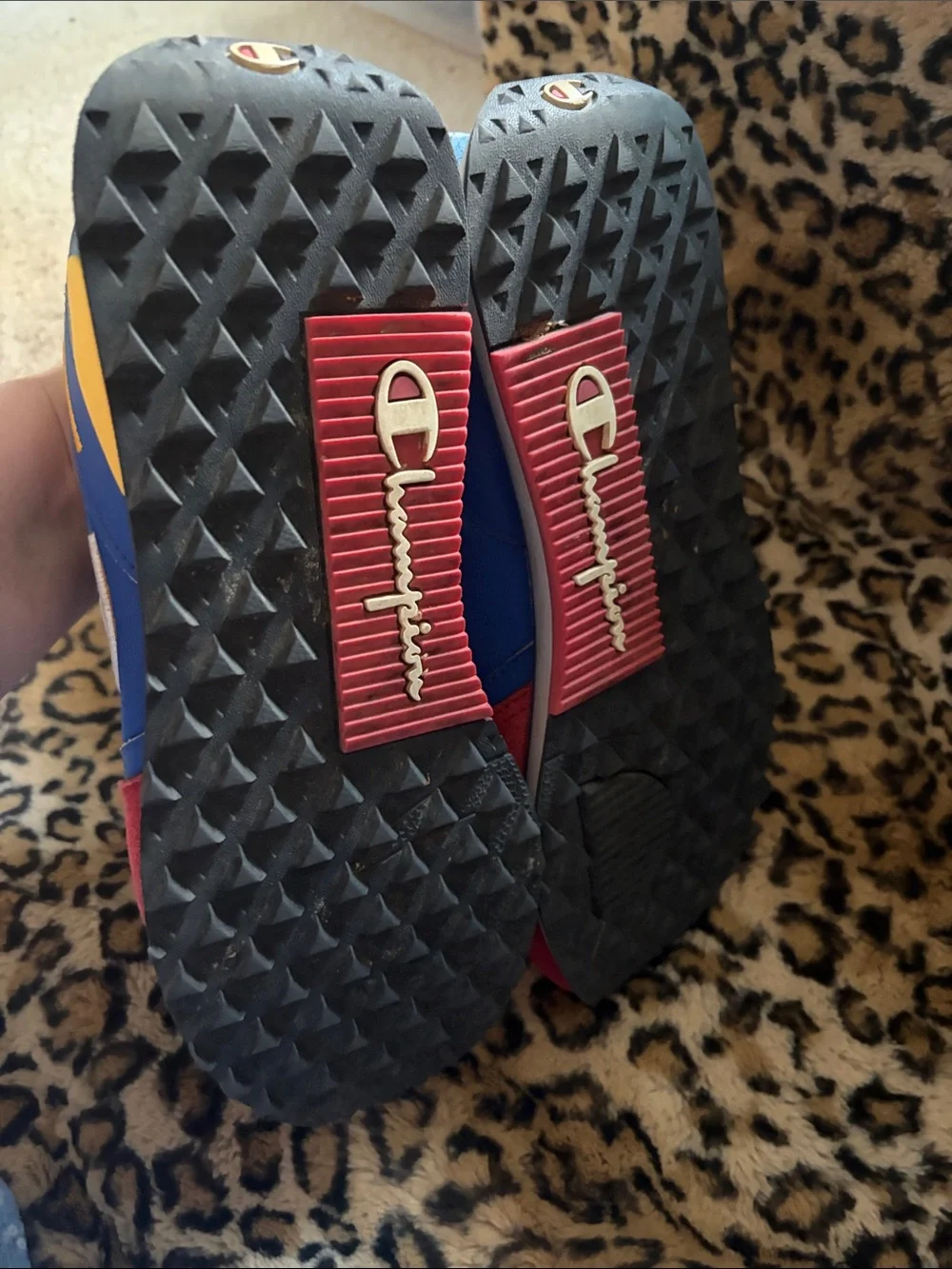 Champion vibrant colorblock