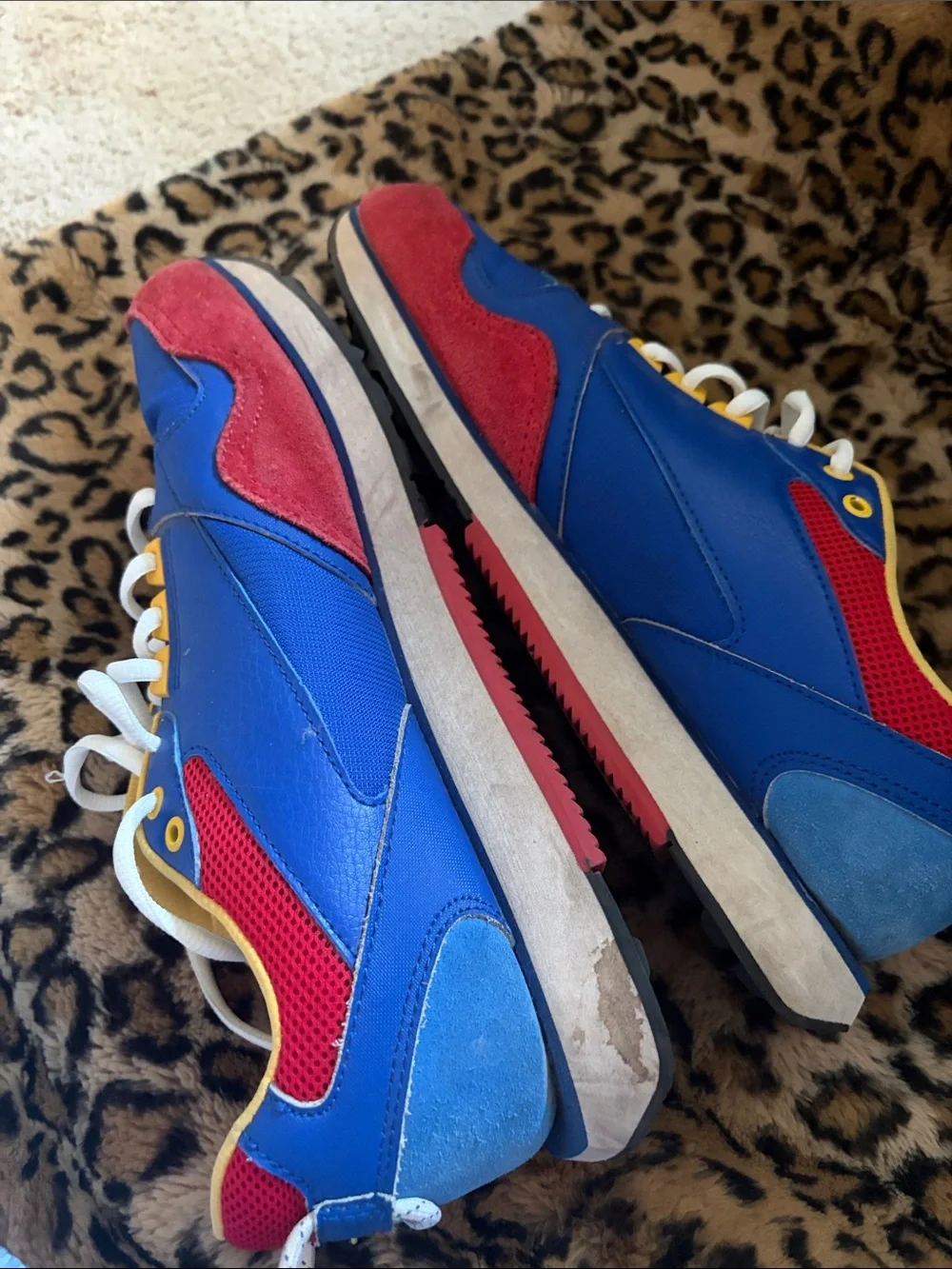 Champion vibrant colorblock