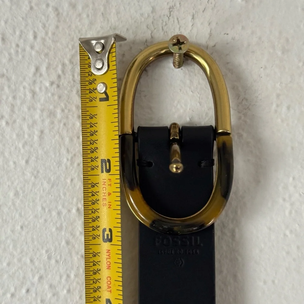 Fossil fab belt