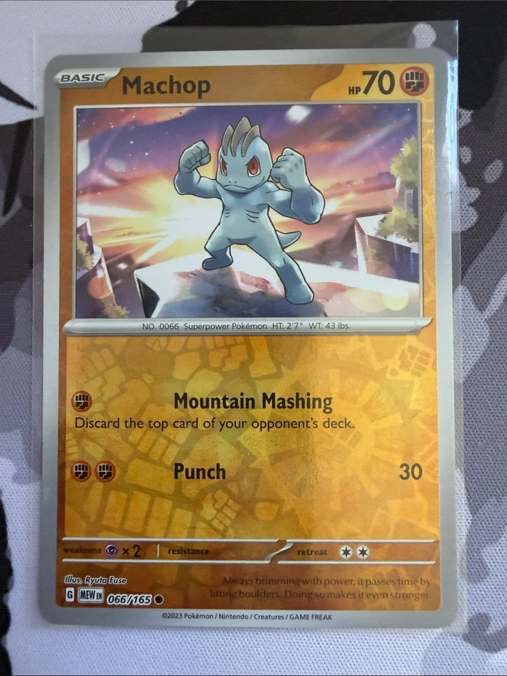 Pokemon machop machoke