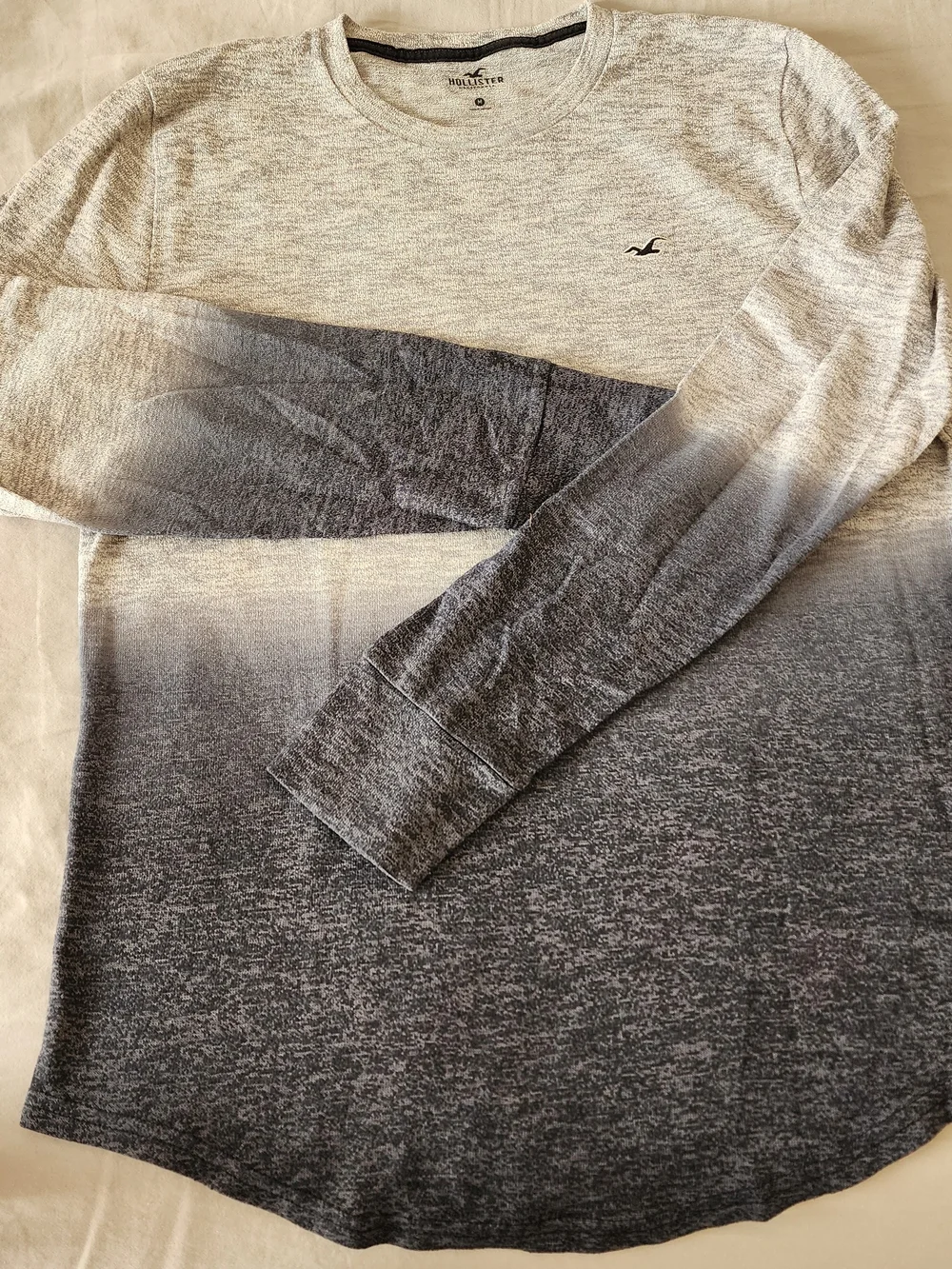 Hollister men long