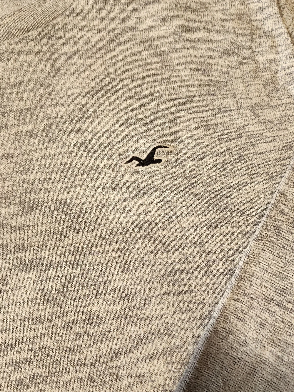 Hollister men long