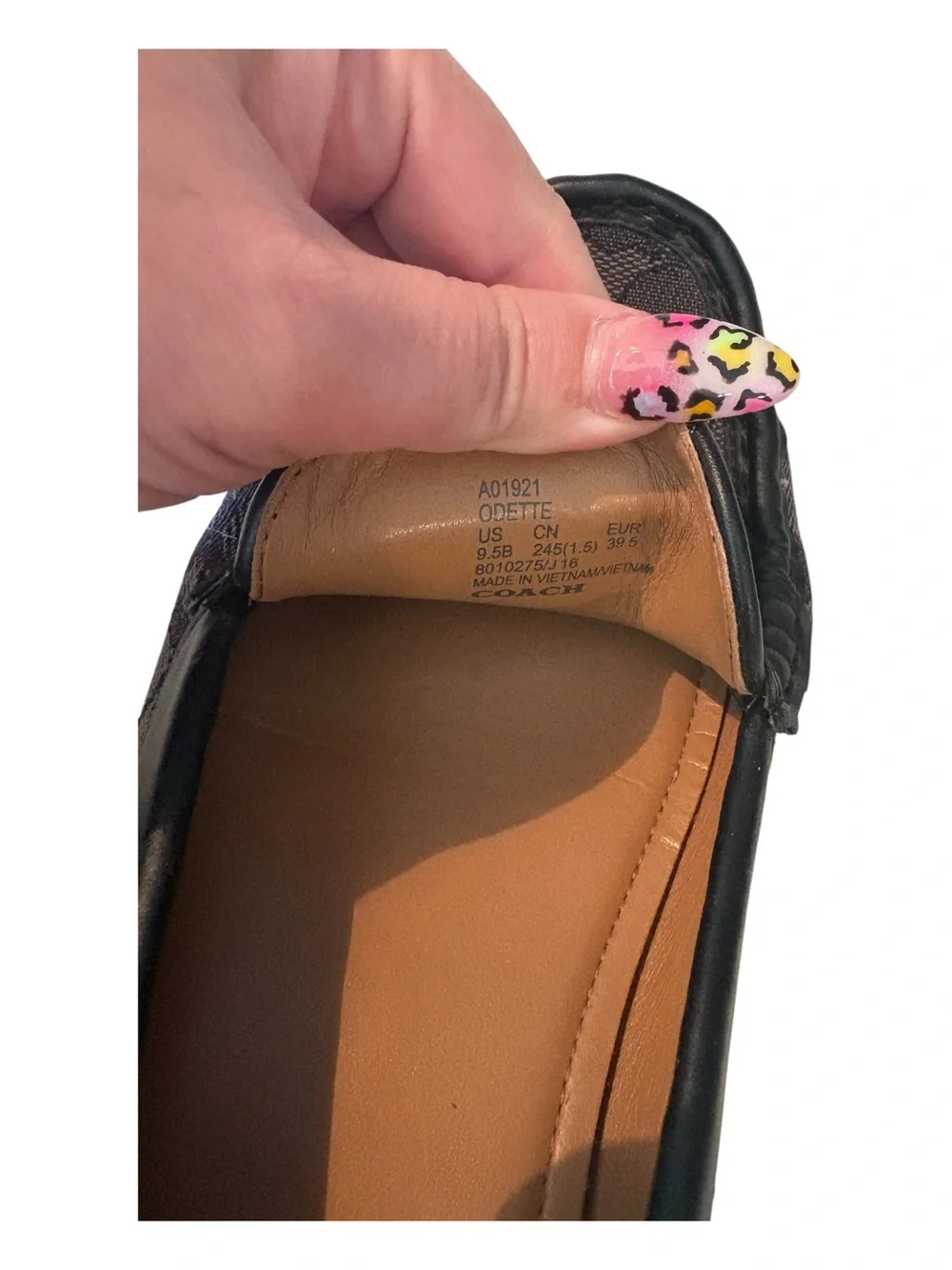 Coach Black Signature Canvas & Leather Shoes
