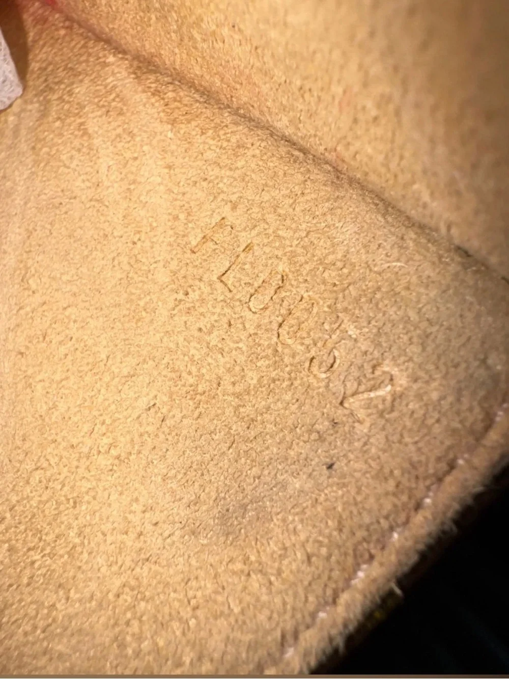 Louis Vuitton close up