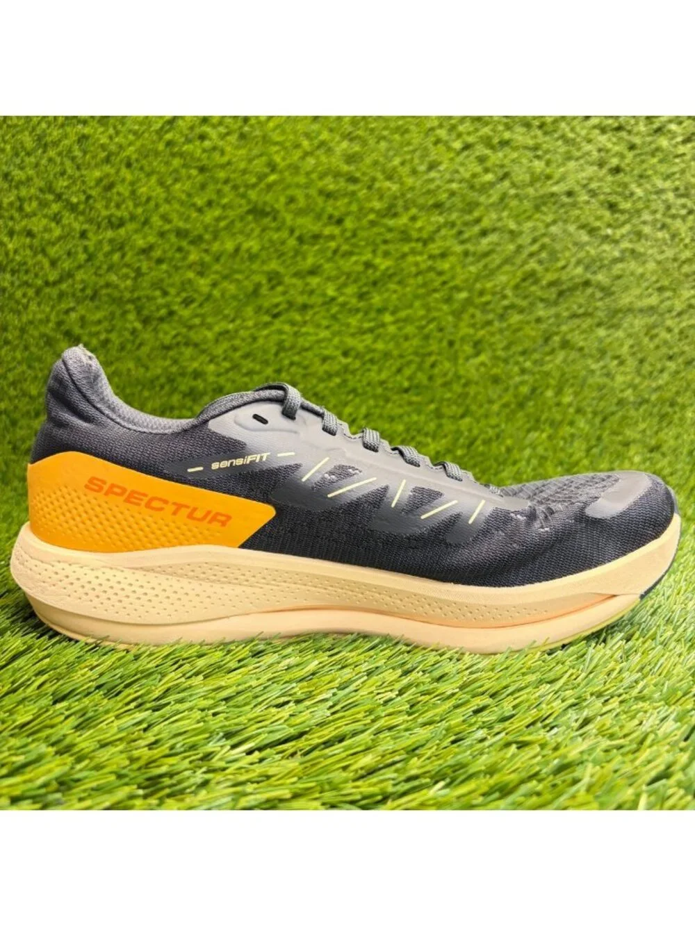 Salomon before creasing