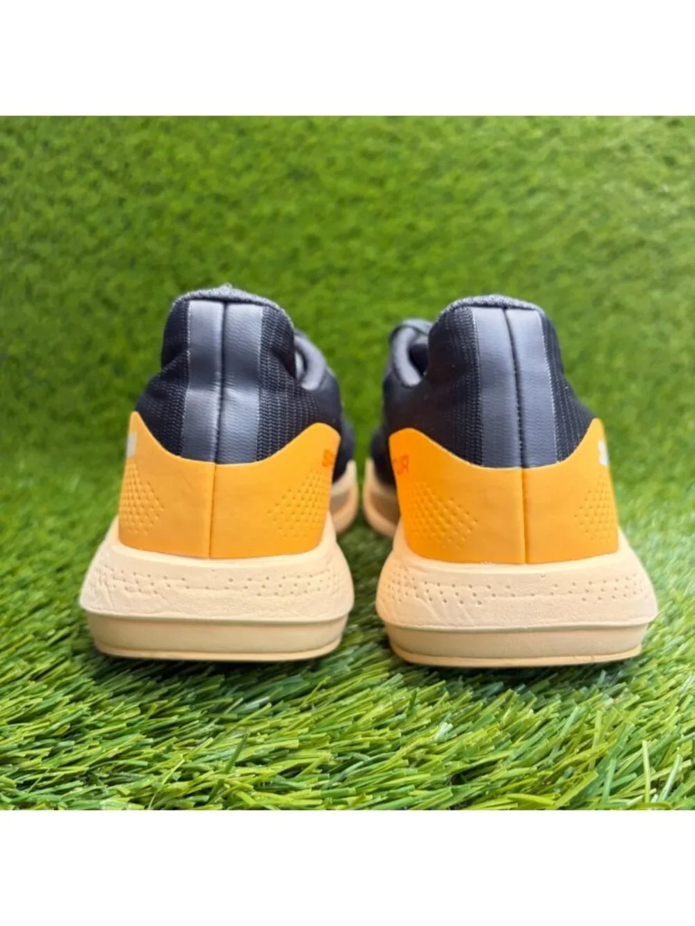 Salomon seller prior see