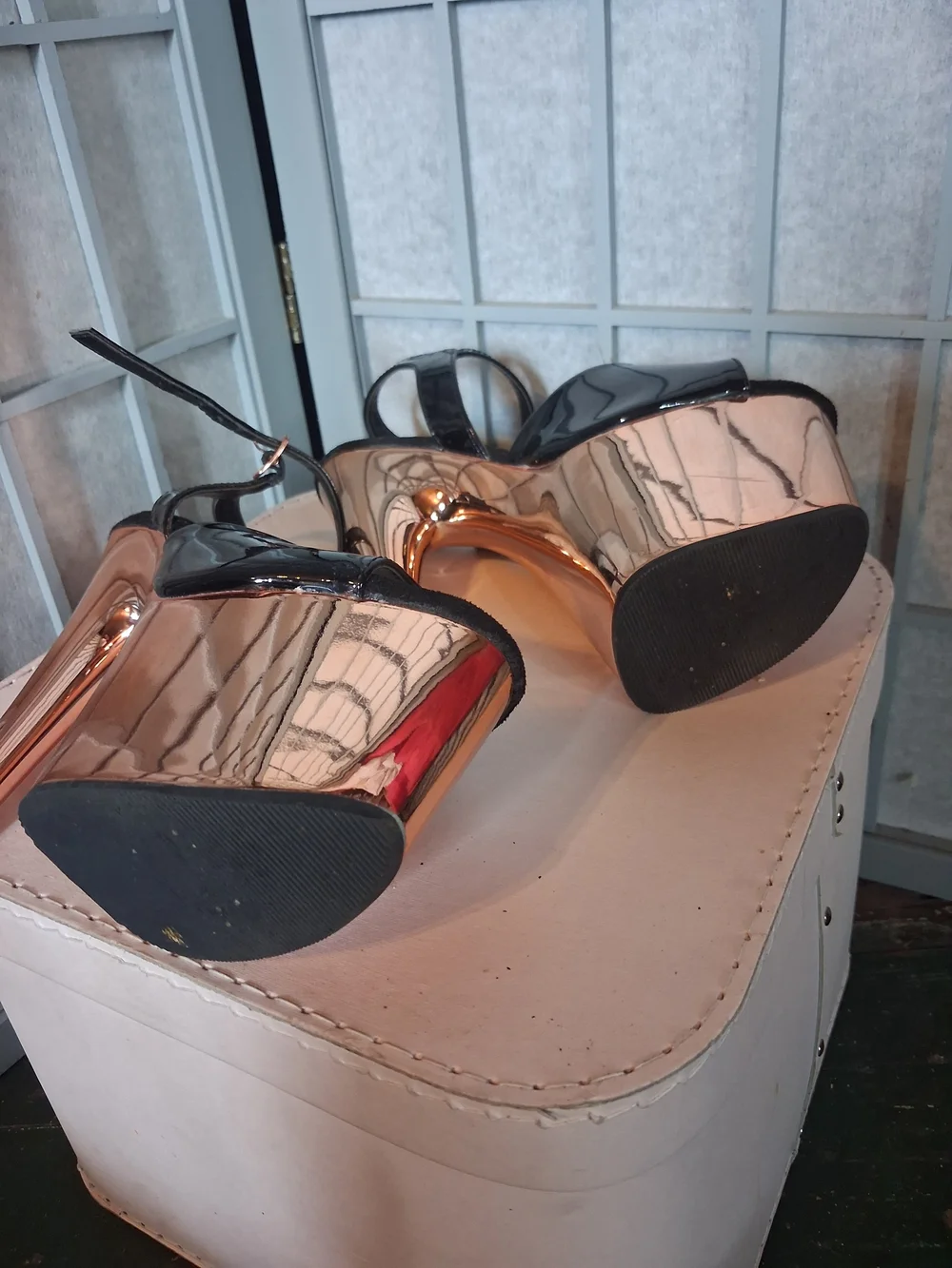 Pleaser heels or