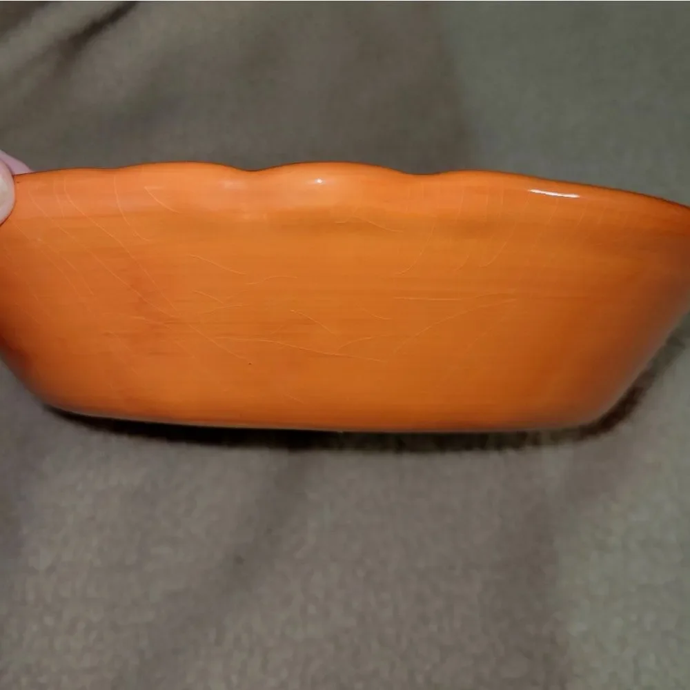 plentiful pantry orange dishwasher safe