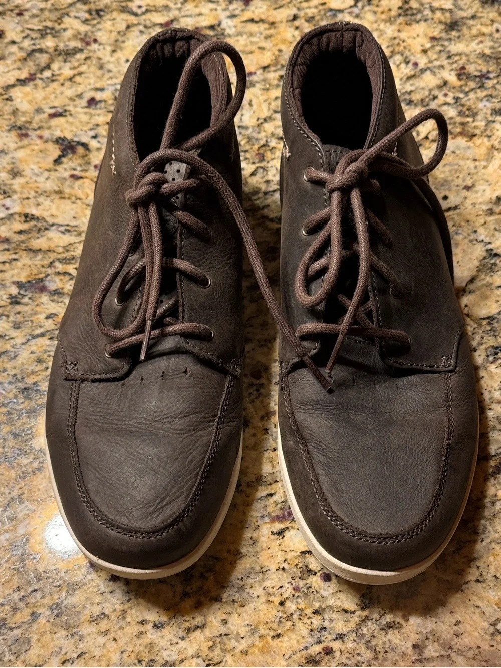 Reef spiniker mid