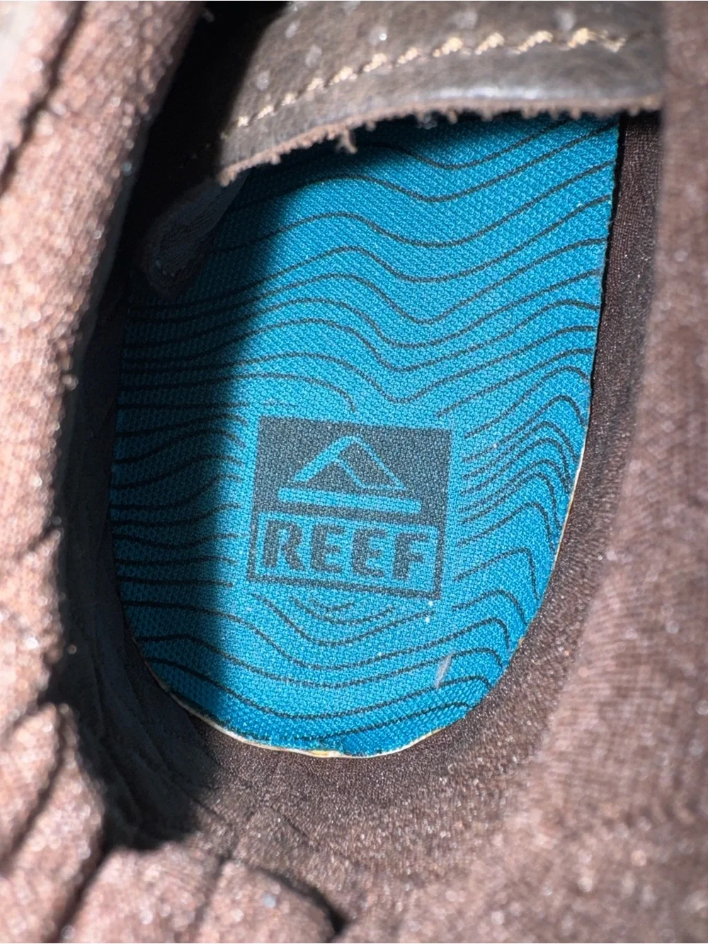 Reef spiniker mid