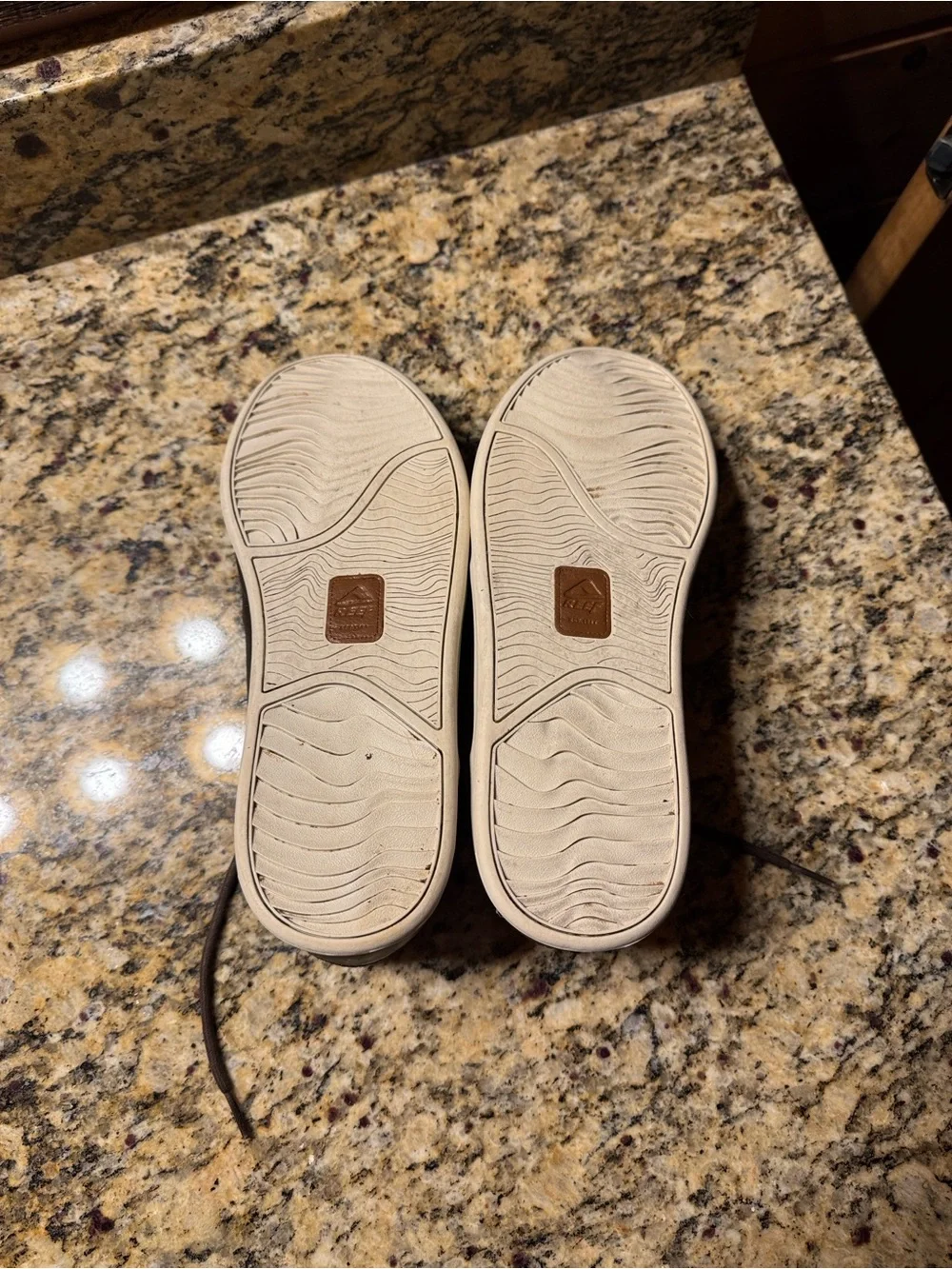 Reef spiniker mid