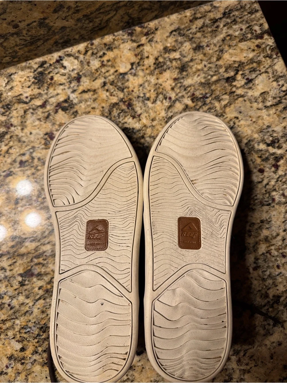 Reef spiniker mid