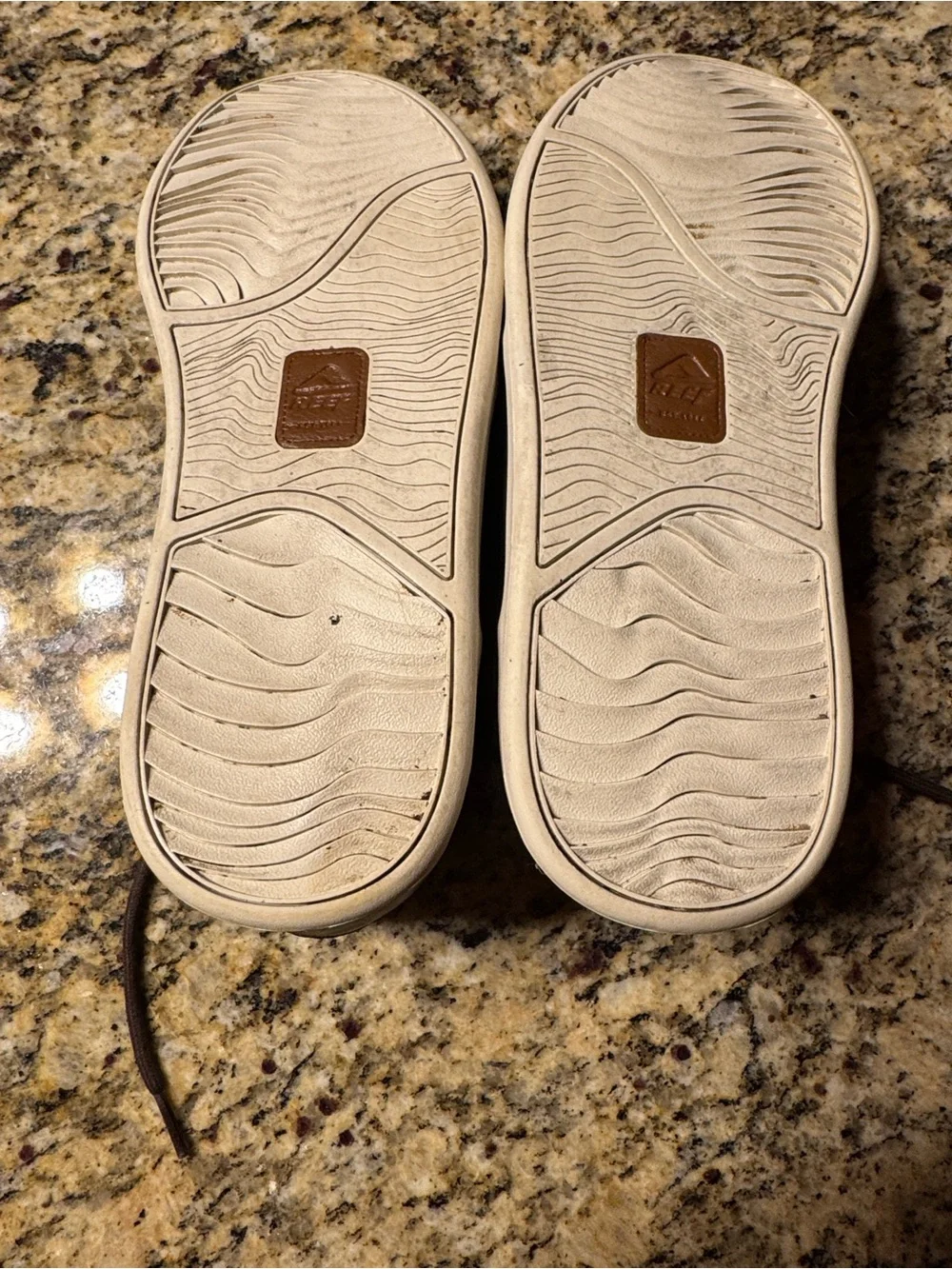 Reef spiniker mid