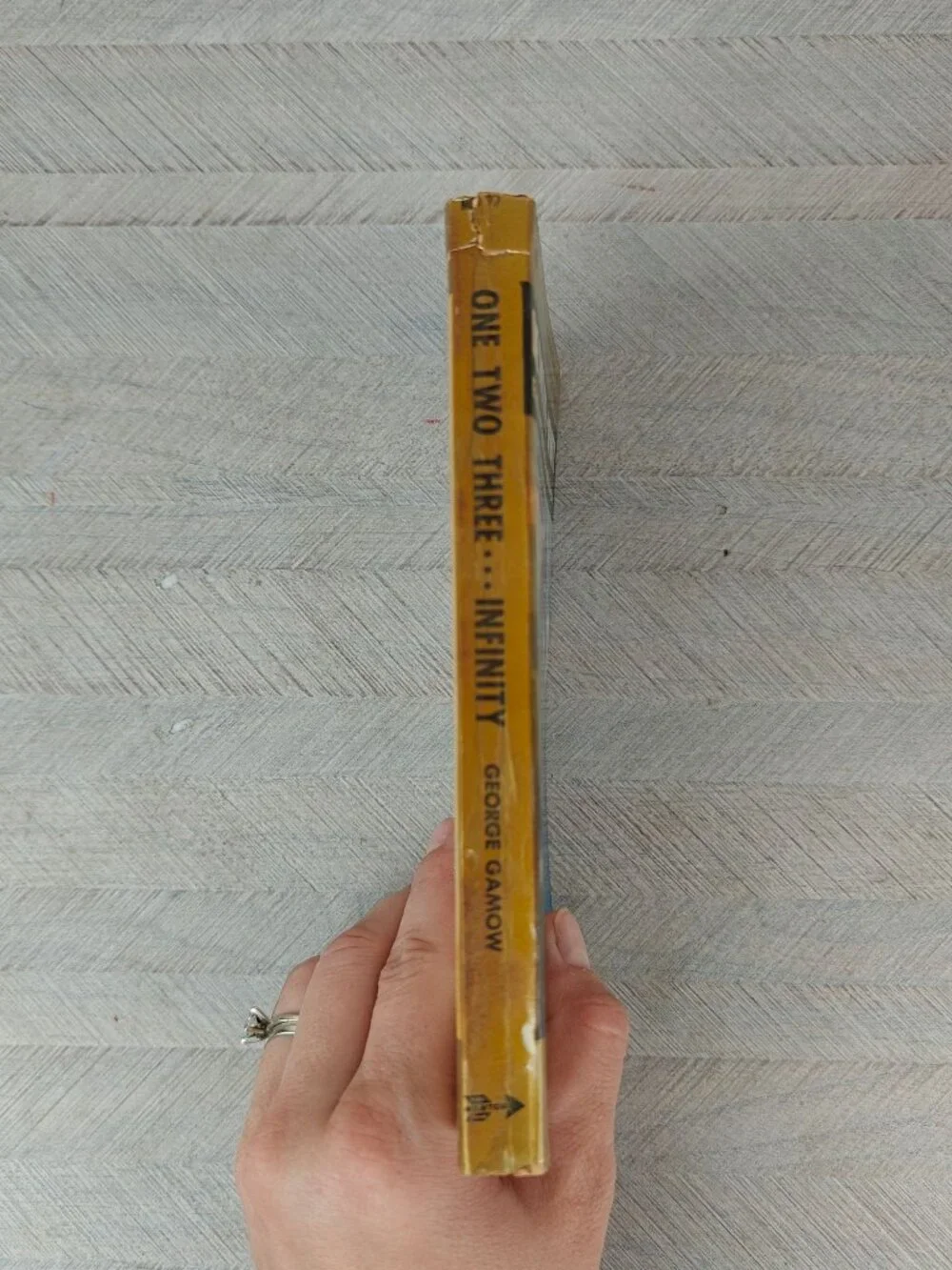The New American Library paperback edition