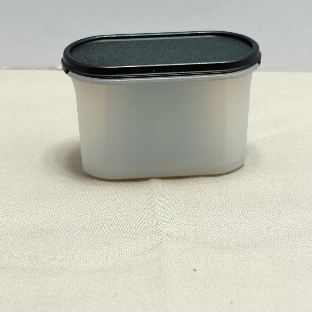 Tupperware Mini Modular Mates Oval with Black Lid magnet
