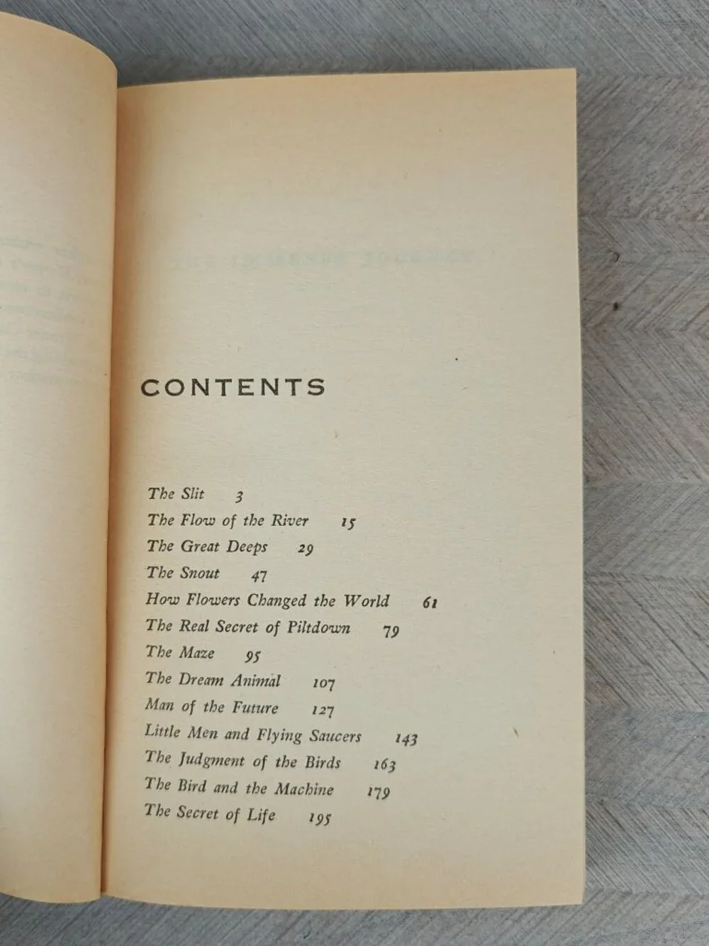 Vintage Books immense journey