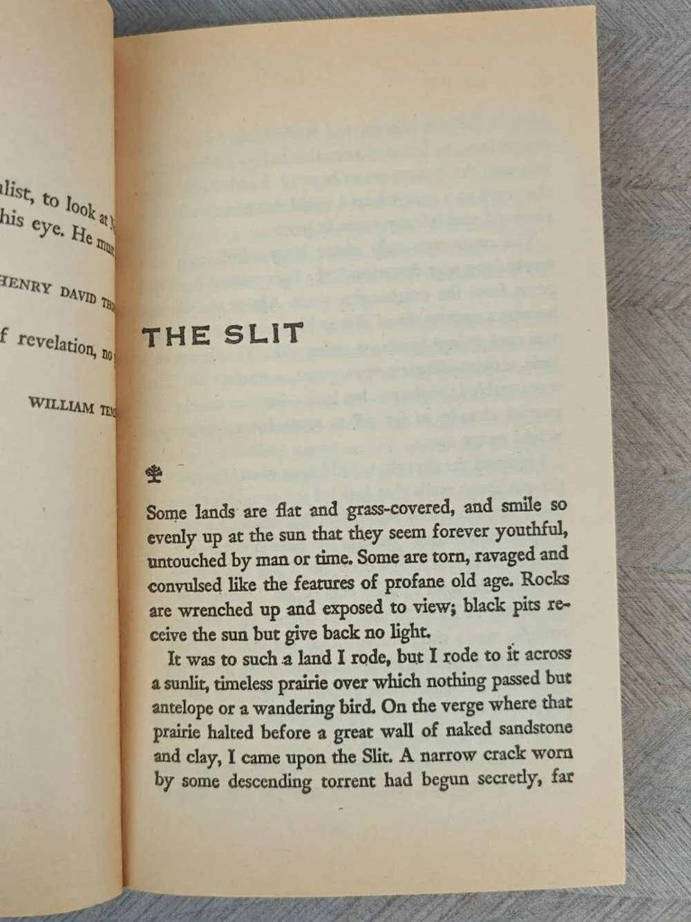 Vintage Books immense journey