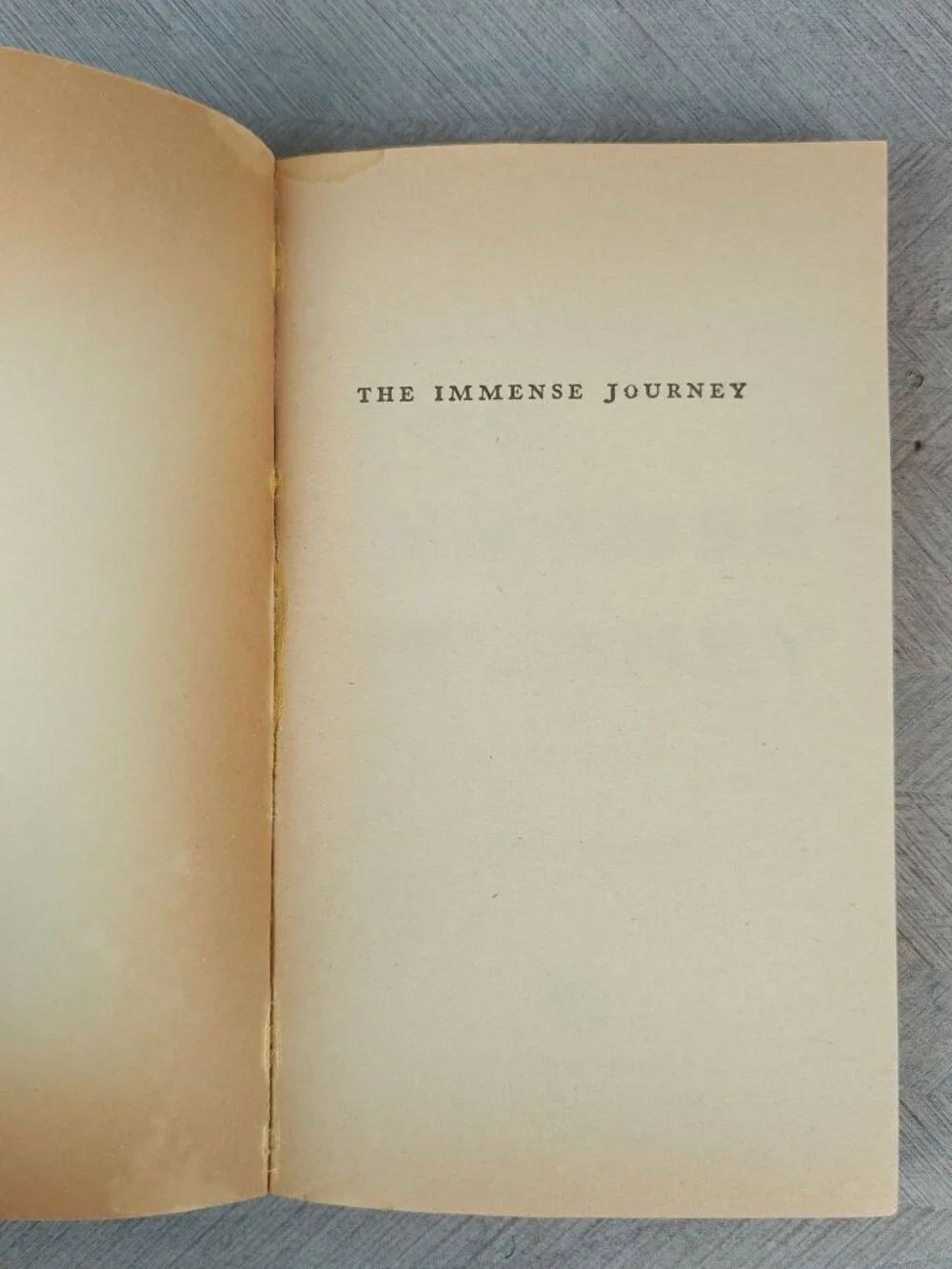 Vintage Books immense journey