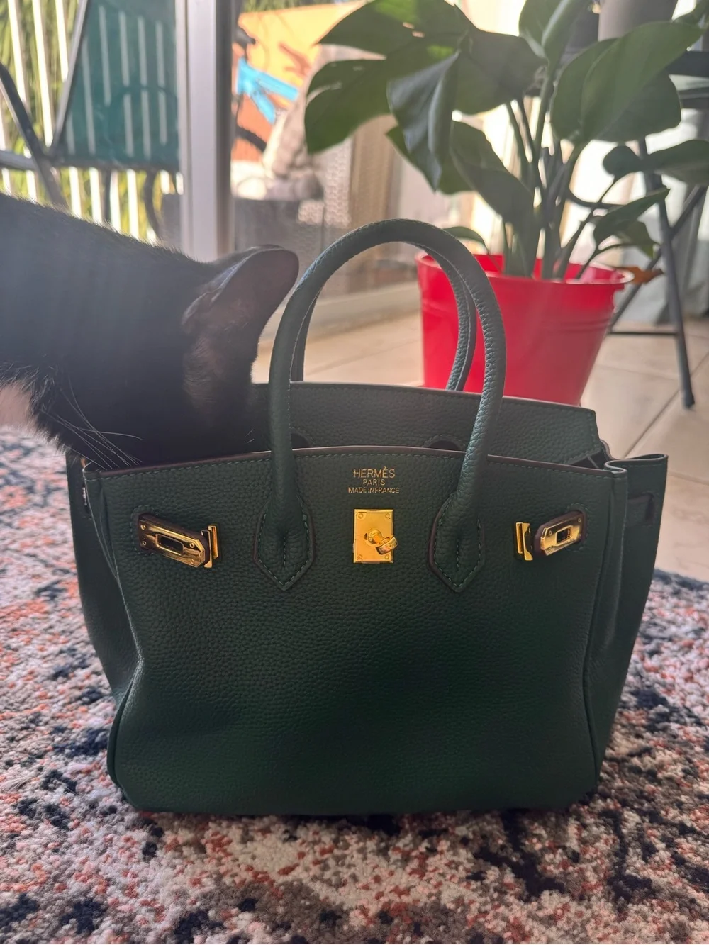 & Other Stories Dark Green Leather Top-Handle Satchel with Gold Hardware New 🆕