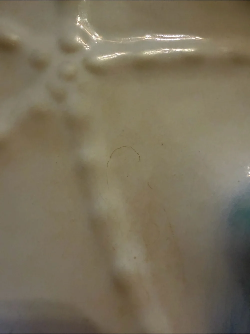 Starfish Beach Themed Ceramic Plate