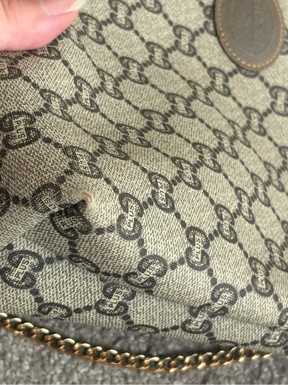 Gucci authentic supreme