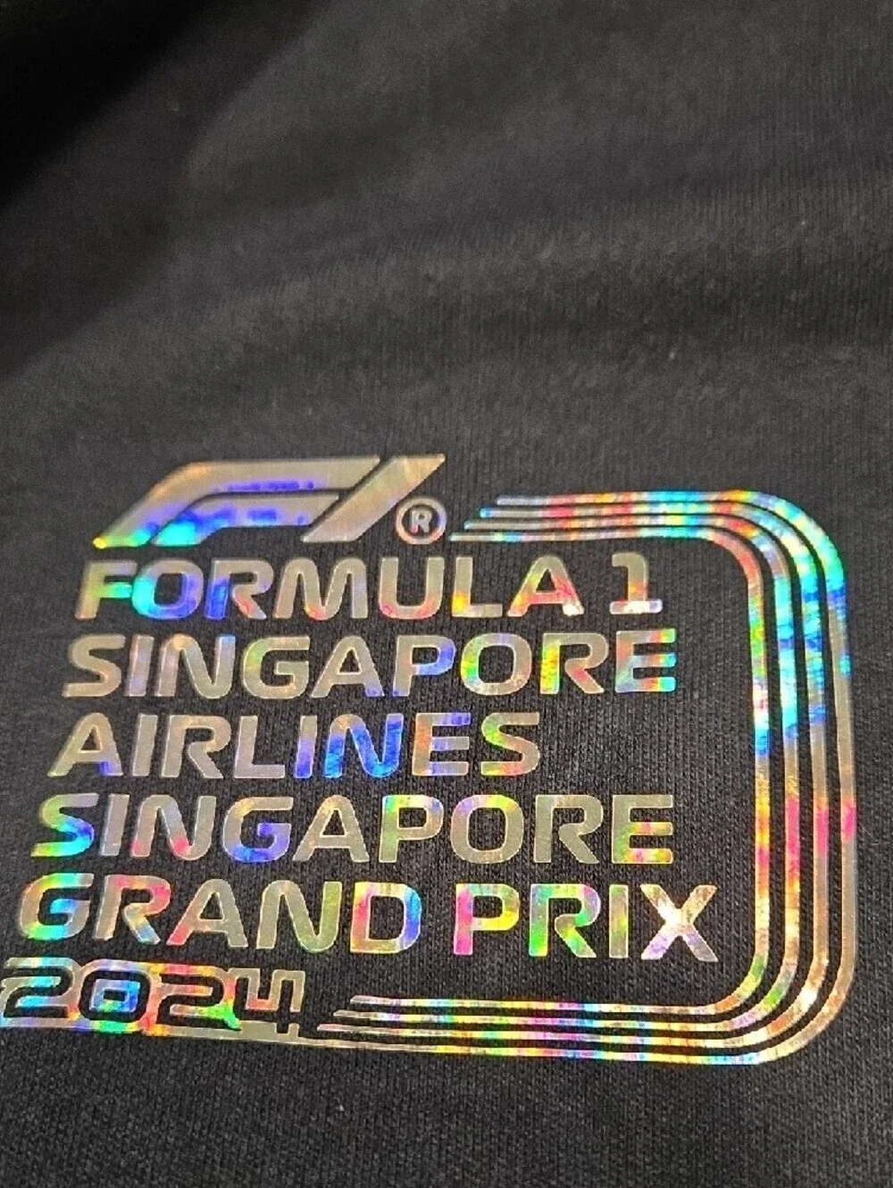 Formula 1 Singapore Grand Prix Navy Zipup