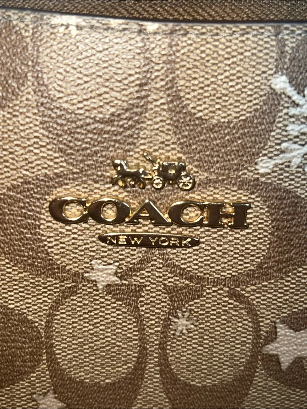 Coach rare clara