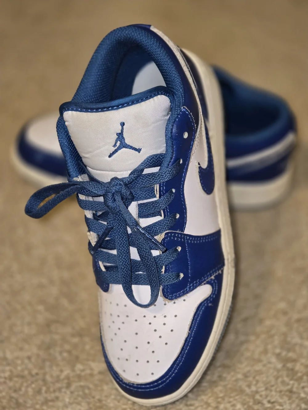 Nike Air Jordan 1 Low in the 