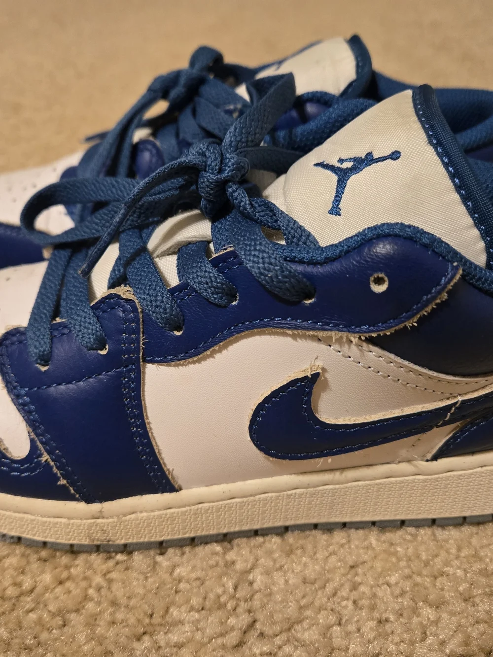 Nike Air Jordan 1 Low in the 