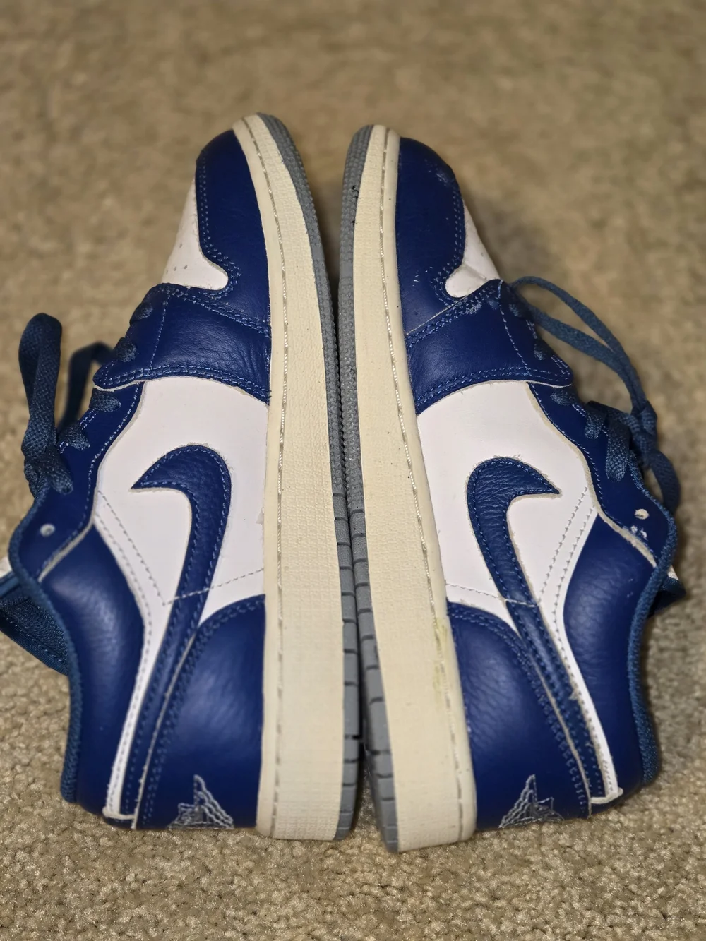 Nike Air Jordan 1 Low in the 