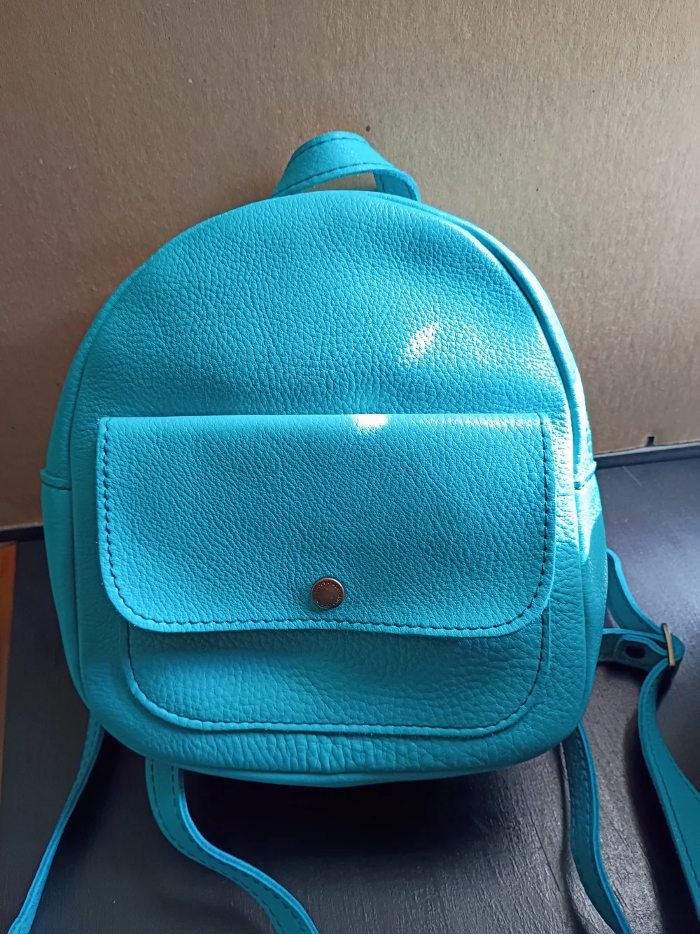 Portland Leather: Snap Backpack
