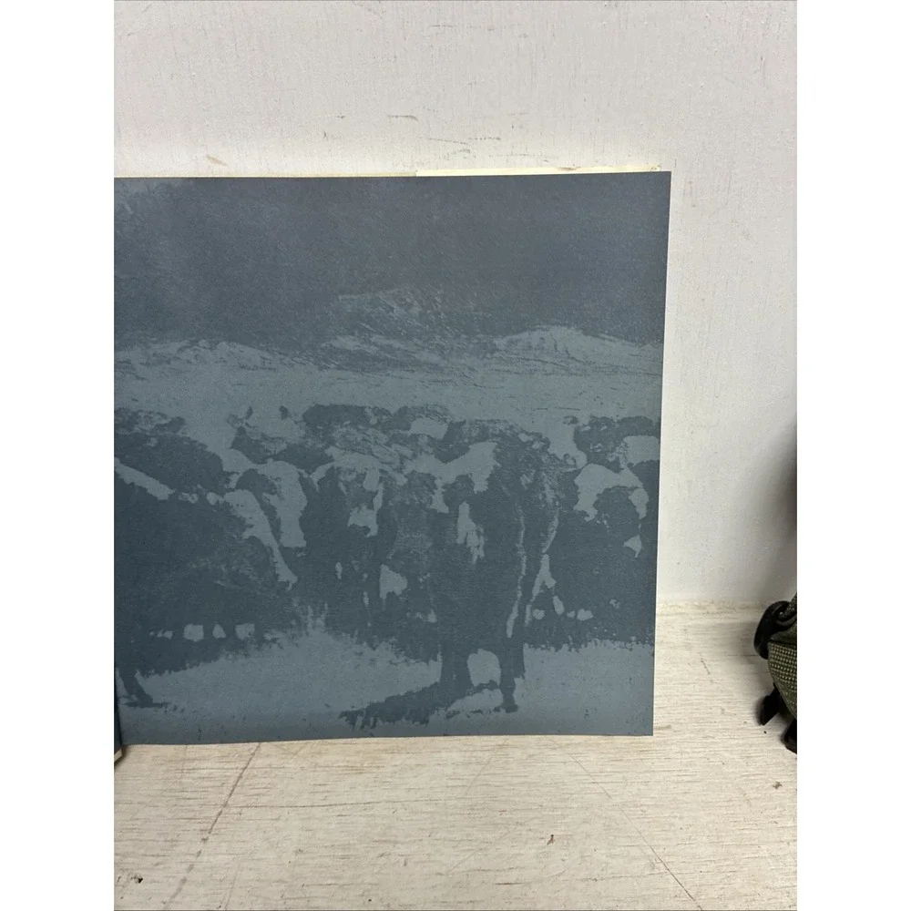 N/A traildust cowboys
