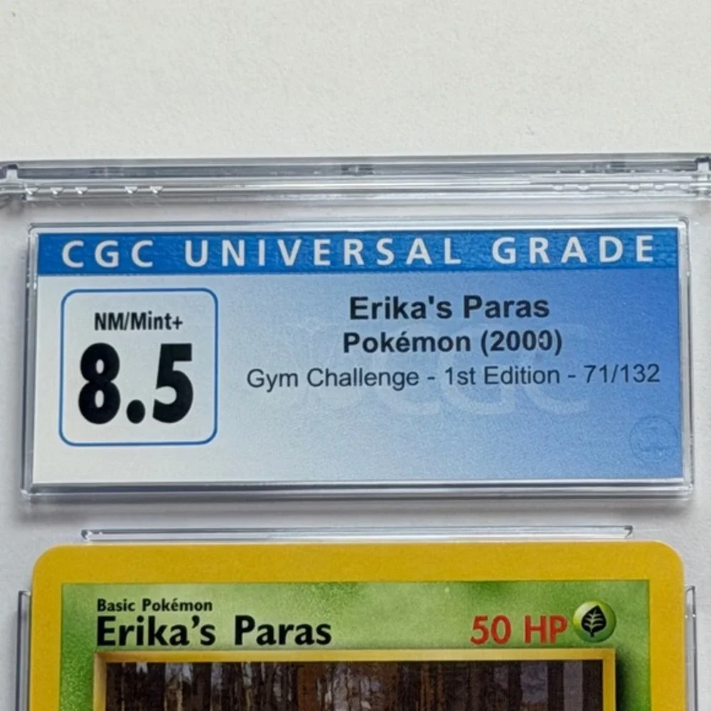 Pokémon pokemon erika