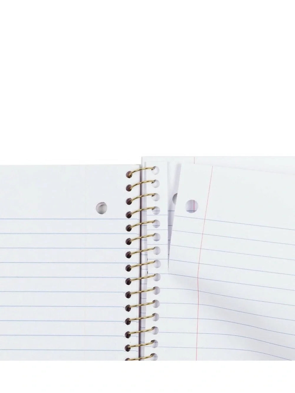 IN-HAND | LoveShackFancy x Target Yoobi Ikat Rose Spiral Notebook