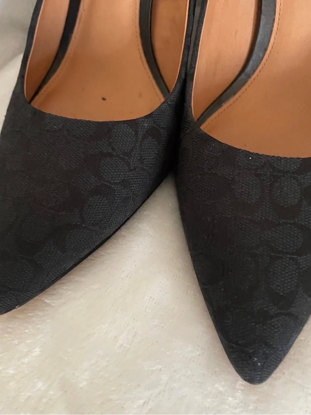 Coach sleek pointed