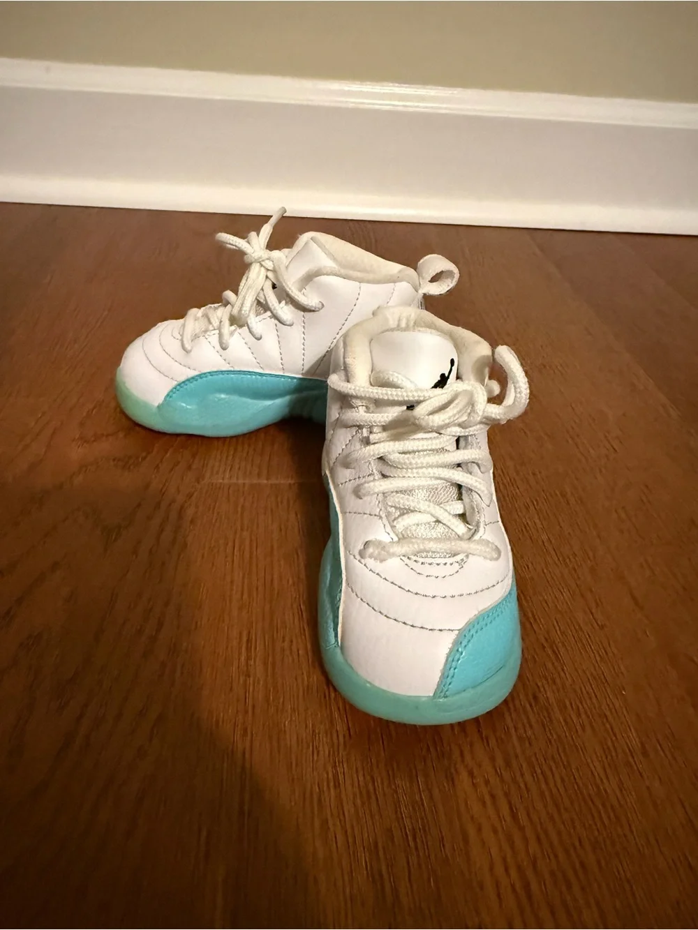 Air Jordan 12 Retro TD 