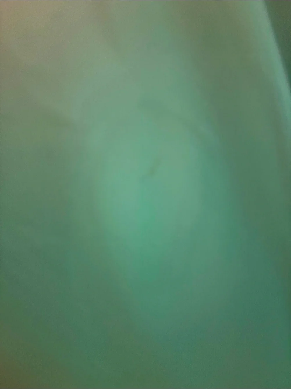 Rachel Allan this green