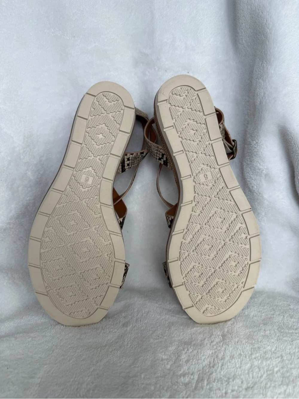 Zodiac Snake-Print Strappy Sandals - Tan and Black
