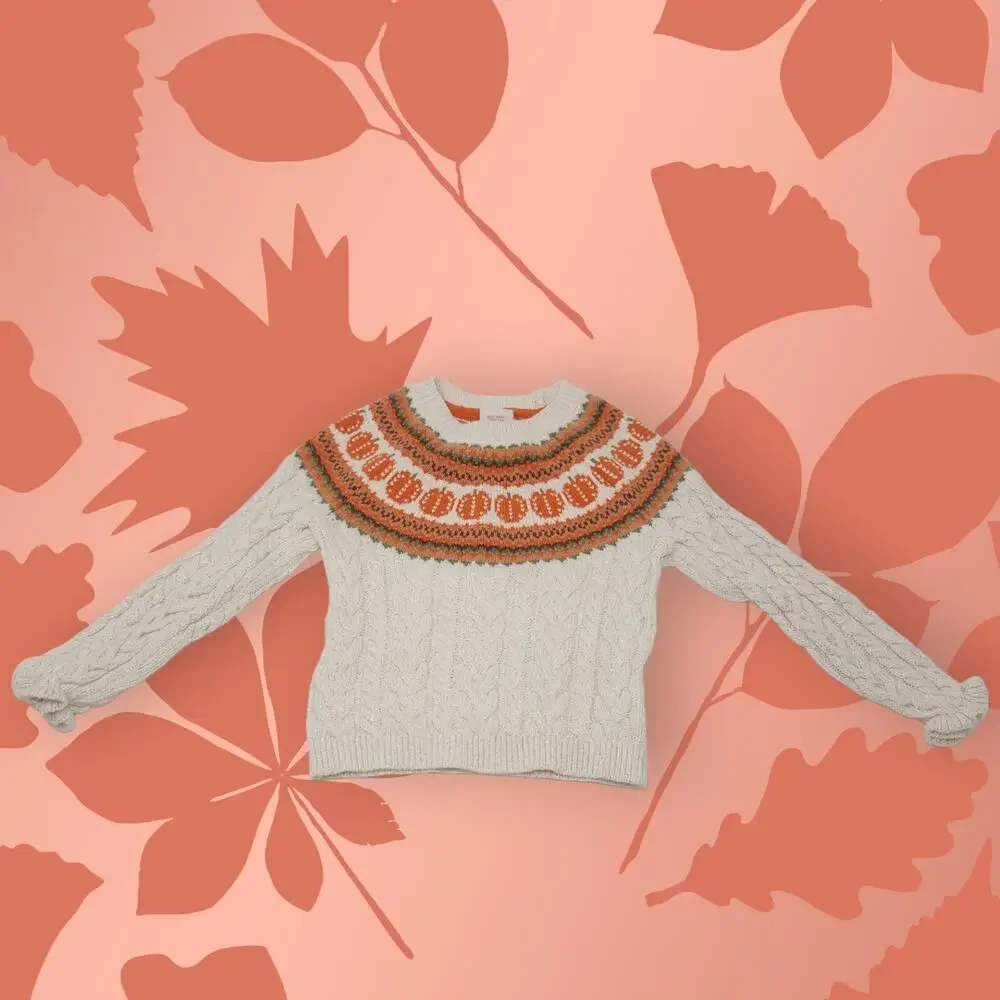 Cynthia Rowley Girls Pumpkin Fall Autumn Thanksgiving Sweater XS 4