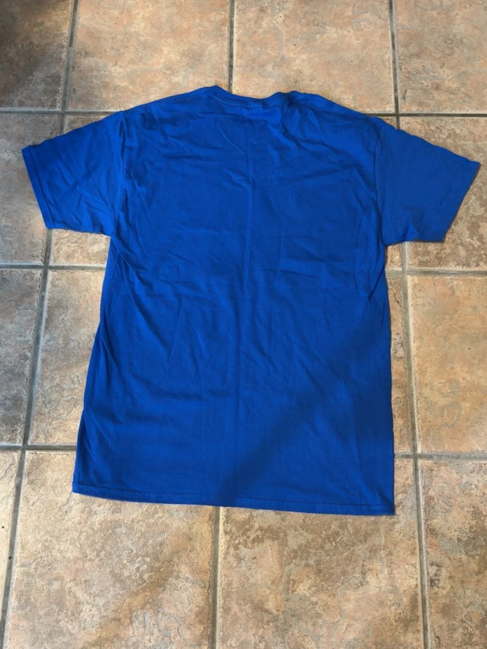 WWE Men's Graphic Crew Neck T-Shirt - Blue