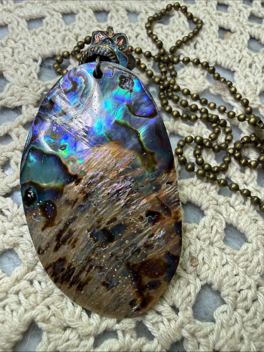 N/A elegant abalone