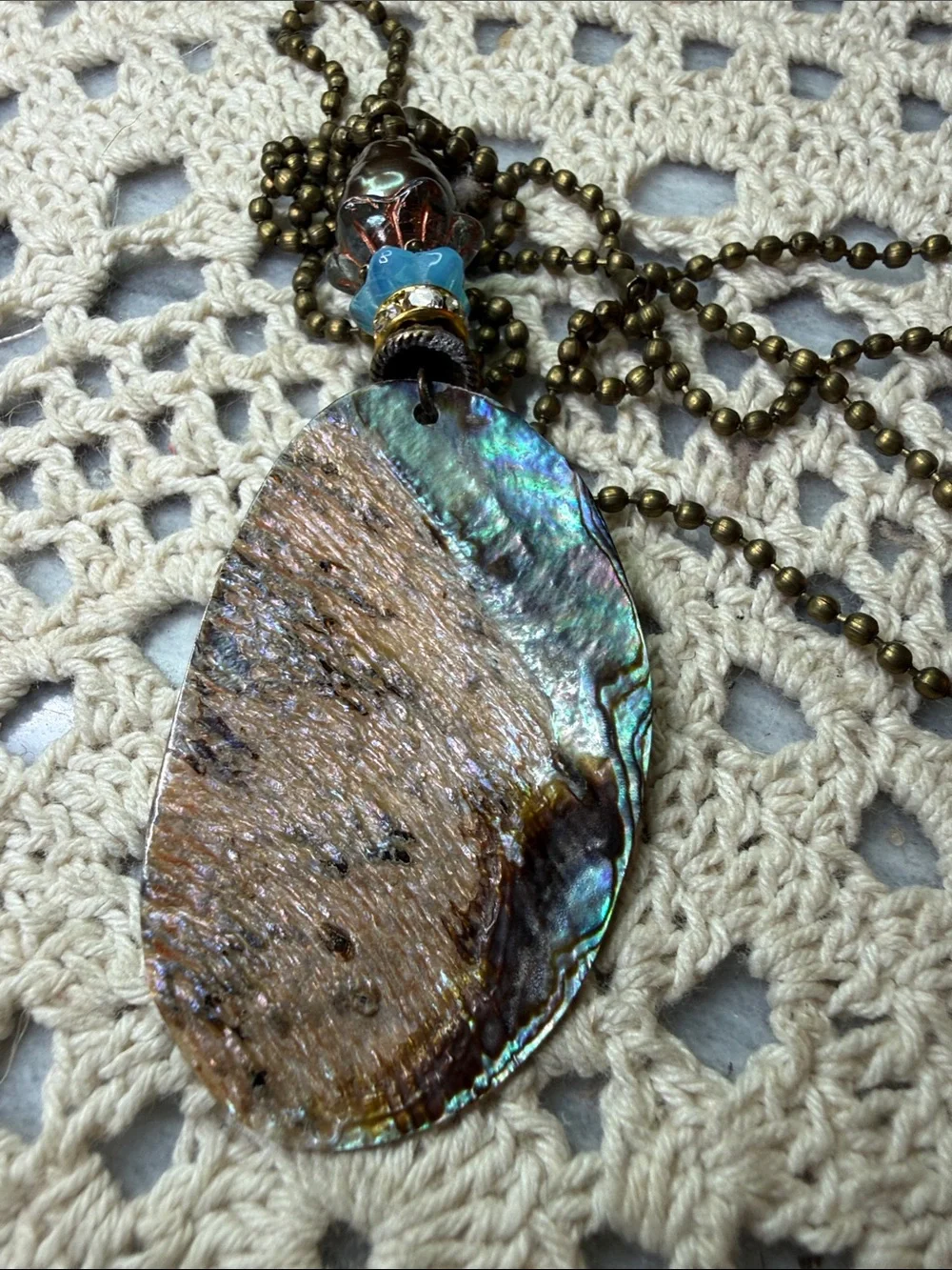 N/A elegant abalone